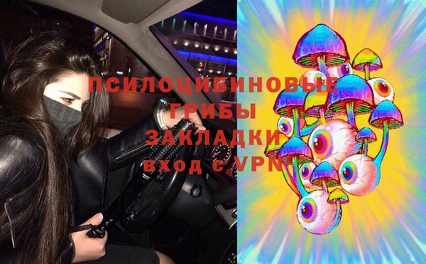 винт Богданович